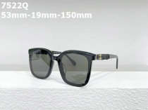 CHNEL Sunglasses AAA (310)