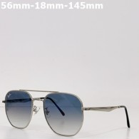 Ray Ban Sunglasses AAA (10)