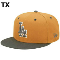 MLB Los Angeles Dodgers Snapback Hat (344)
