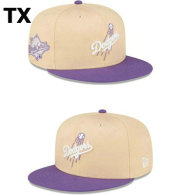 MLB Los Angeles Dodgers Snapback Hat (343)