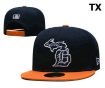 MLB Detroit Tigers Snapback Hat (64)