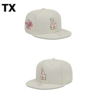 MLB Los Angeles Dodgers Snapback Hat (339)