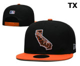MLB San Francisco Giants Snapback Hat (132)
