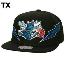 NBA Charlotte Hornets Snapback Hat (102)
