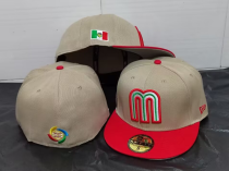Mexico hat (5)