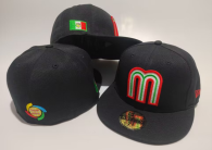 Mexico hat (9)