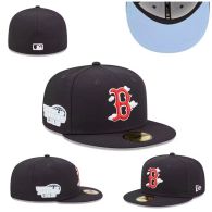 Boston Red Sox Hat - 20