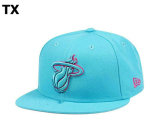 NBA Miami Heat Snapback Hat (721)
