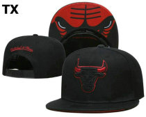 NBA Chicago Bulls Snapback Hat (1341)