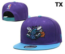 NBA Charlotte Hornets Snapback Hat (100)