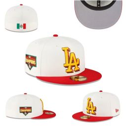 Los Angeles Dodgers hat (15)