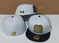 Mexico hat (6)