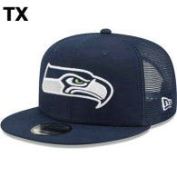 NFL Seattle Seahawks Snapback Hat (338)