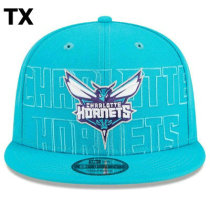NBA Charlotte Hornets Snapback Hat (103)