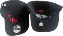 MLB Los Angeles Dodgers Snapback Hat (356)