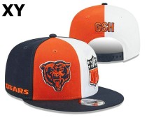 NFL Chicago Bears Snapback Hat (166)