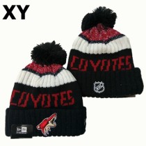 NHL Phoenix Coyotes Beanies (1)