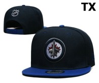 NHL Winnipeg Jets Snapback Hat (1)