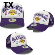 NBA Los Angeles Lakers Snapback Hat (455)
