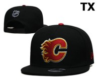NHL Calgary Flames Snapback Hat (2)