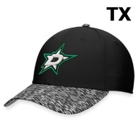 NHL Dallas Stars Snapback Hat (1)