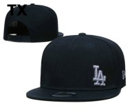 MLB Los Angeles Dodgers Snapback Hat (360)
