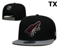 NHL Phoenix Coyotes Snapback Hat (1)