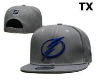 NHL Tampa Bay Lightning Snapback Hat (3)
