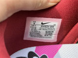 Authentic Nike Dunk Low Disrupt 2 Black/Team Red/Canyon Rust