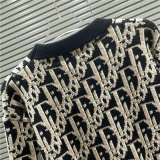 Dior Sweater S-XXL (91)