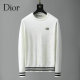 Dior Sweater M-XXXL (38)