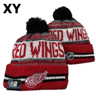 NHL Detroit Red Wings Beanies (10)