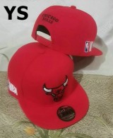 NBA Chicago Bulls Snapback Hat (1381)