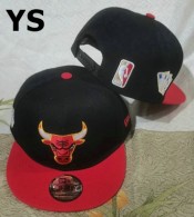 NBA Chicago Bulls Snapback Hat (1379)
