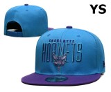 NBA Charlotte Hornets Snapback Hat (111)