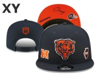 NFL Chicago Bears Snapback Hat (169)
