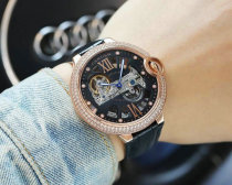 Cartier Watches 47X15mm (155)