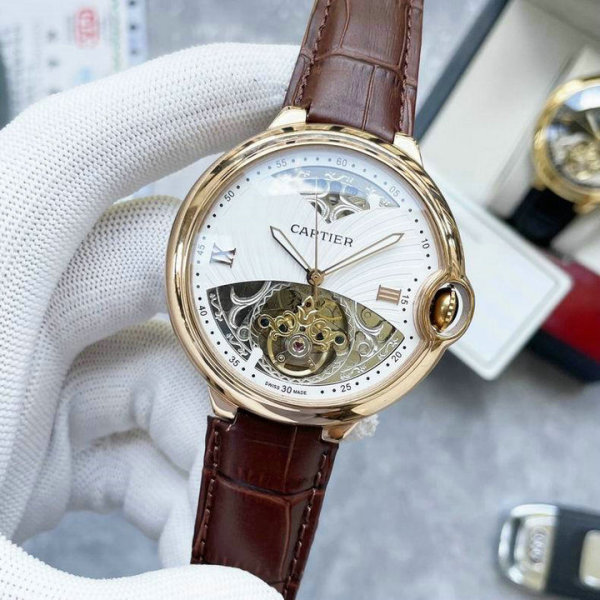 Cartier Watches 46X13mm (170)