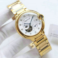 Cartier Watches 42X11mm (60)
