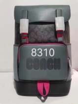 Coach Backpack 005