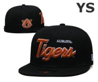 NCAA Auburn Tigers Snapback Hat (2)