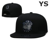 NCAA Georgia Bulldogs Snapback Hat (2)