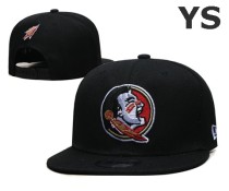 NCAA Florida State Seminoles Snapback Hat (2)