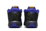 Nike LeBron 8 Shoes (2)