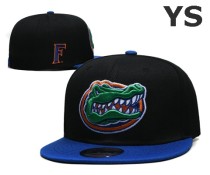 NCAA Florida Gators Snapback Hat (27)