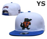 NCAA Florida Gators Snapback Hat (26)