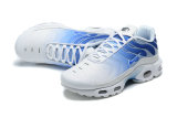 Nike Air Max TN Shoes (34)