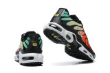 Nike Air Max TN Shoes (46)