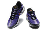 Nike Air Max TN Shoes (43)