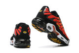 Nike Air Max TN Shoes (33)